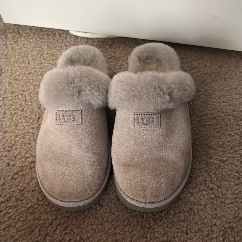 UGG Light Gray Suede Plush Slippers